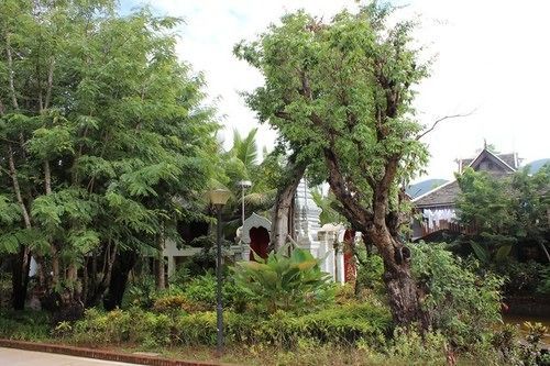 Xishuangbanna Elephanthome Boutique Guest House Extérieur photo